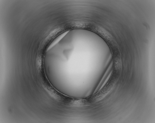 X0000113260072200909241531