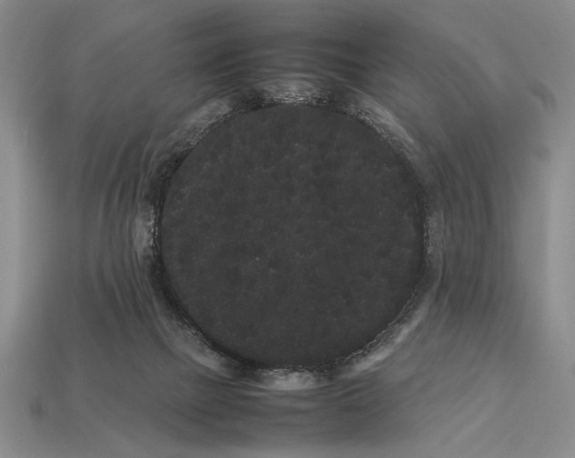 X0000113260073200909241531