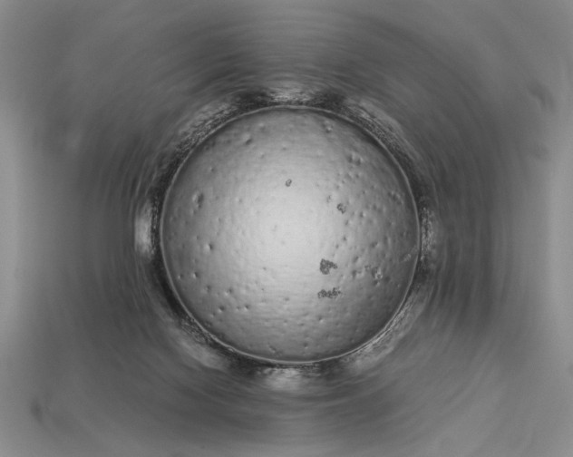 X0000113260074200909241531