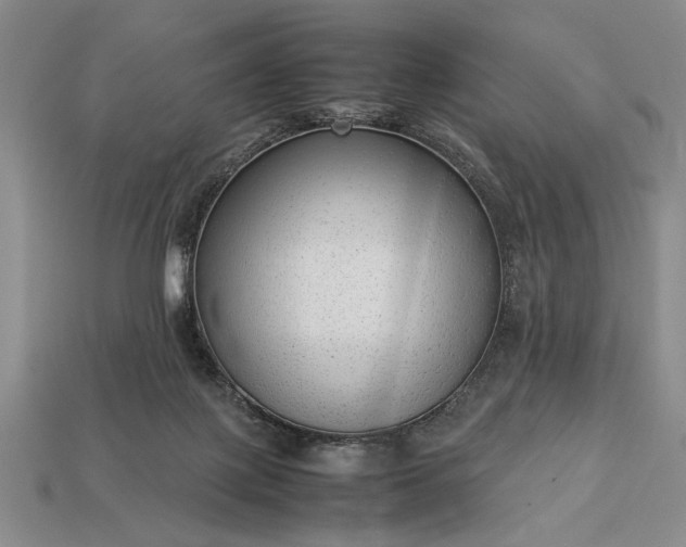 X0000113260075200909241531