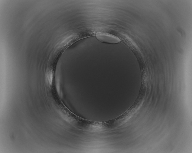 X0000113260076200909241531