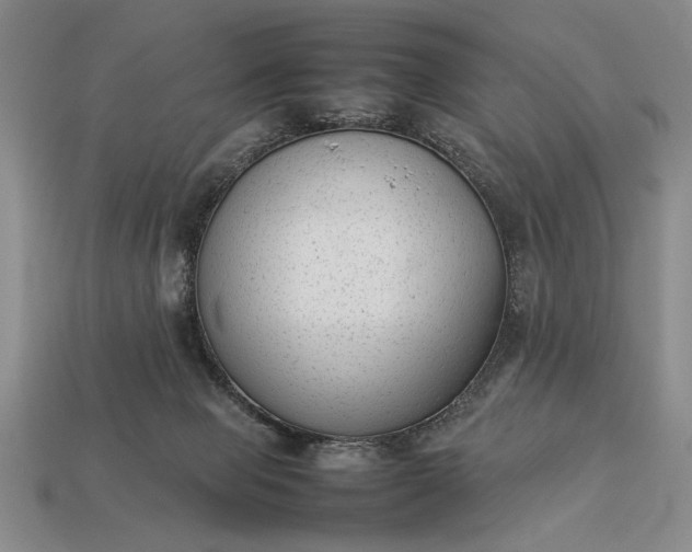 X0000113260077200909241531