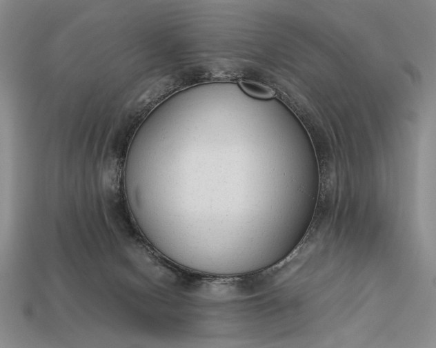 X0000113260078200909241531