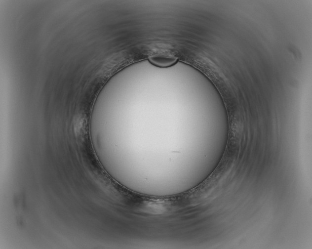 X0000113260079200909241531