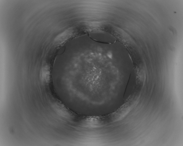 X0000113260080200909241531