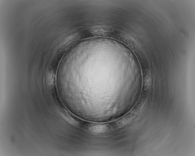 X0000113260081200909241531