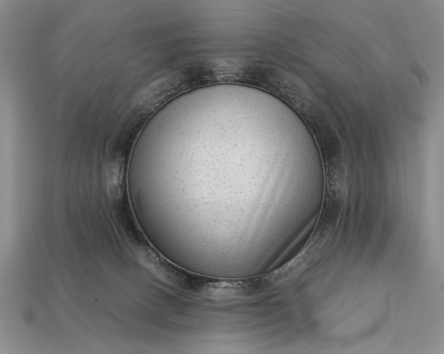 X0000113260082200909241531