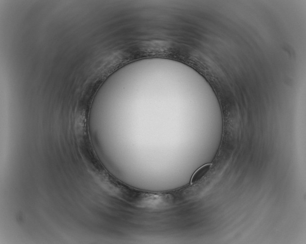 X0000113260083200909241531