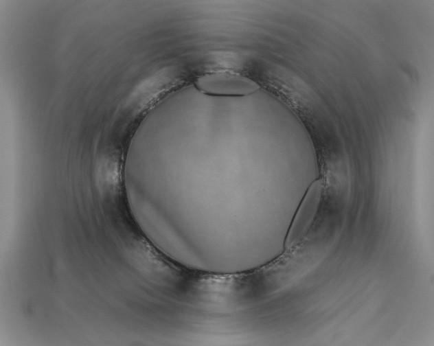 X0000113260084200909241531