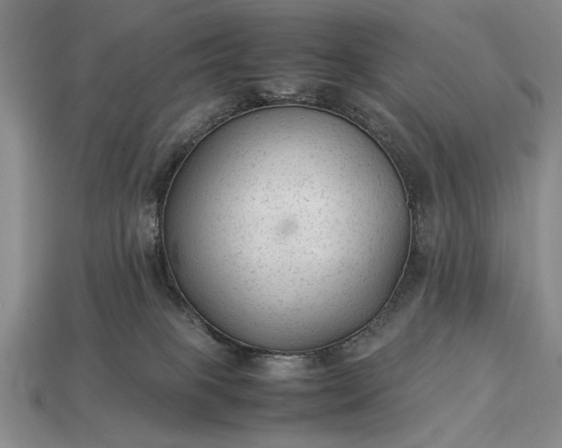 X0000113260085200909241531