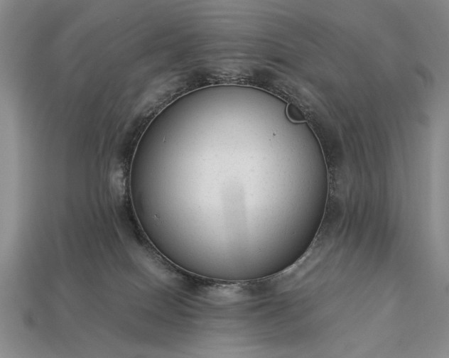 X0000113260086200909241531