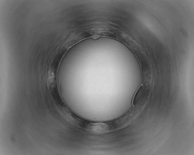 X0000113260087200909241531