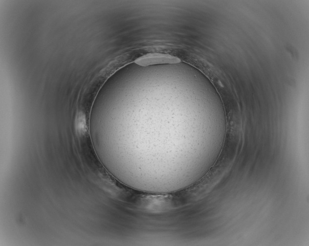 X0000113260089200909241531