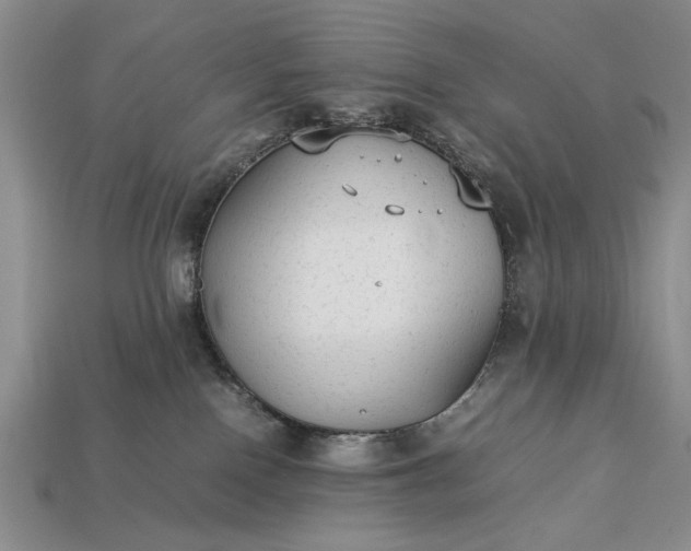 X0000113260090200909241531