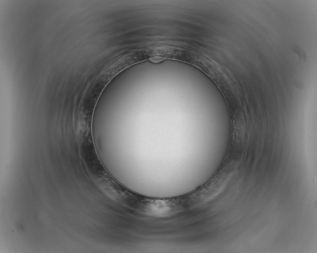 X0000113260091200909241531