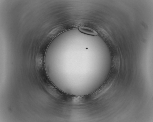 X0000113260092200909241531