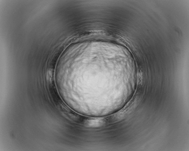 X0000113260093200909241531