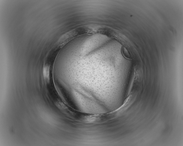 X0000113260094200909241531