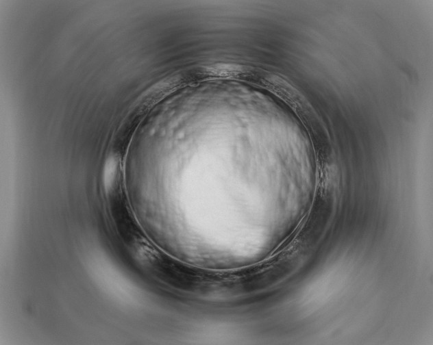 X0000113260095200909241531