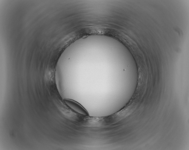 X0000113260096200909241531