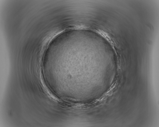 X0000113260097200909241531