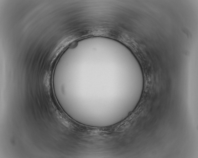 X0000113260098200909241530