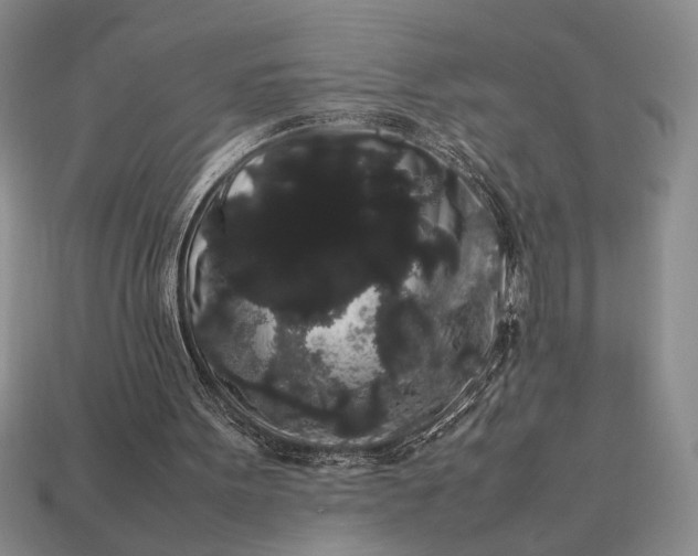 X0000113260099200909241530