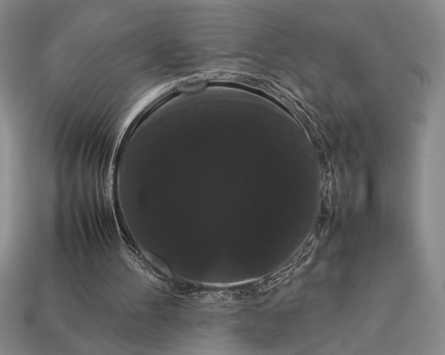 X0000113260100200909241530