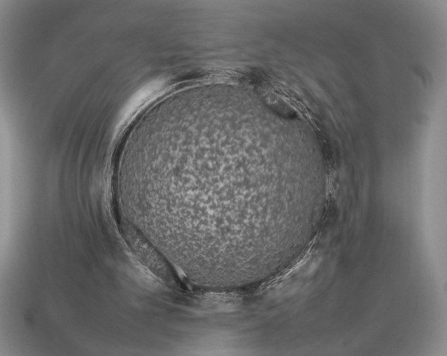 X0000113260101200909241530