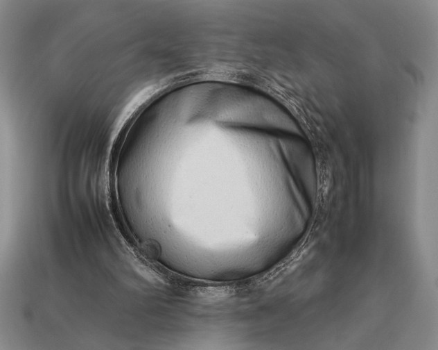 X0000113260102200909241530