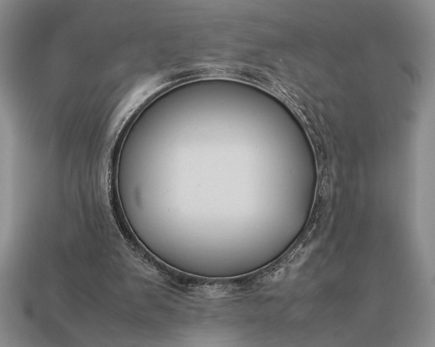 X0000113260103200909241530