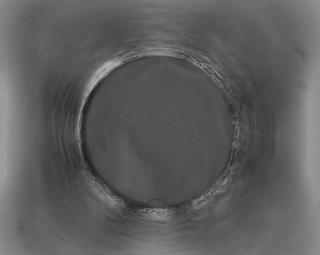 X0000113260104200909241530