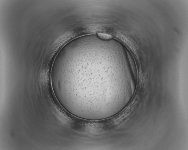 X0000113260105200909241530