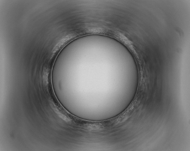 X0000113260106200909241530