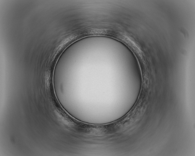 X0000113260107200909241530