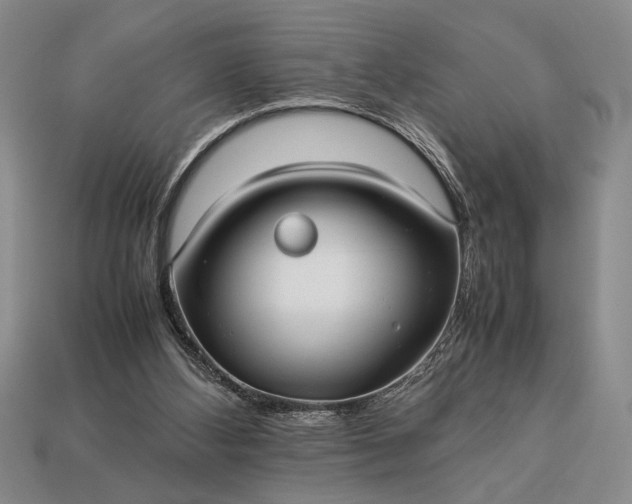 X0000113260108200909241530