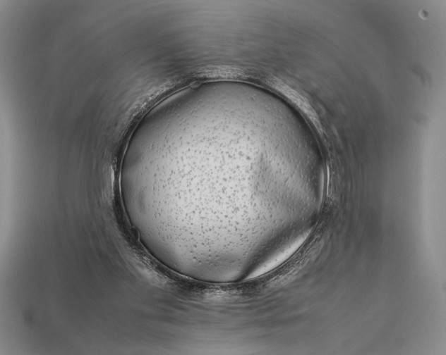 X0000113260109200909241530