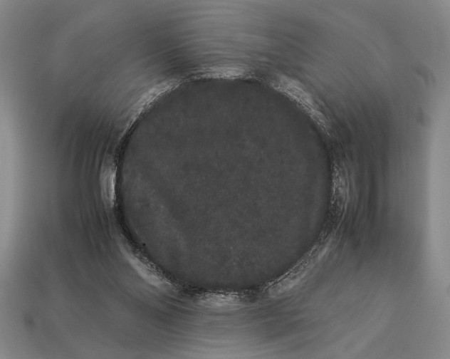 X0000113260110200909241530