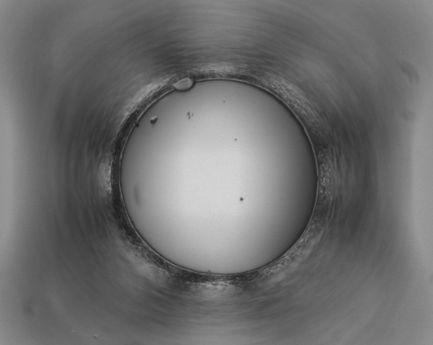 X0000113260112200909241530