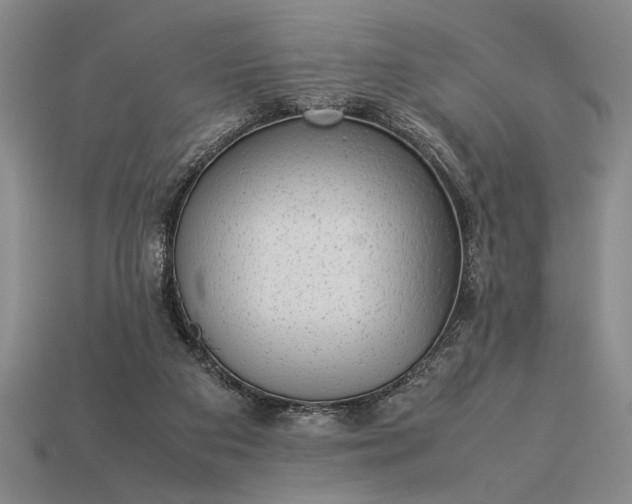 X0000113260113200909241530