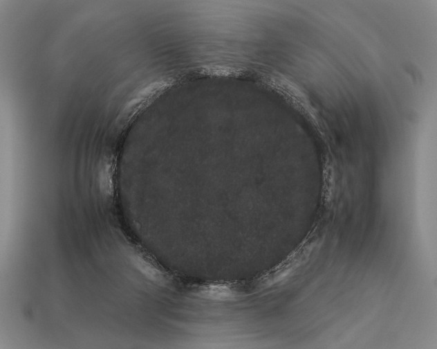 X0000113260114200909241530