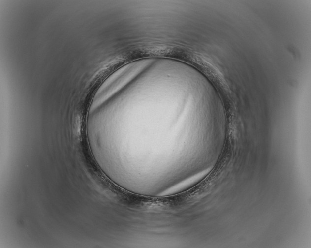 X0000113260115200909241530