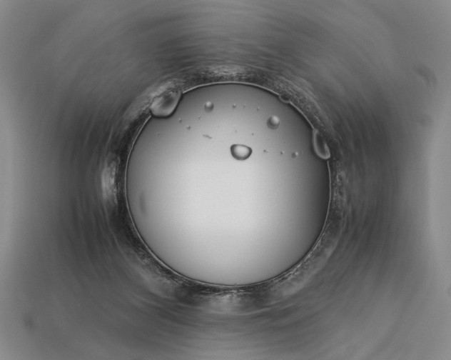 X0000113260116200909241530