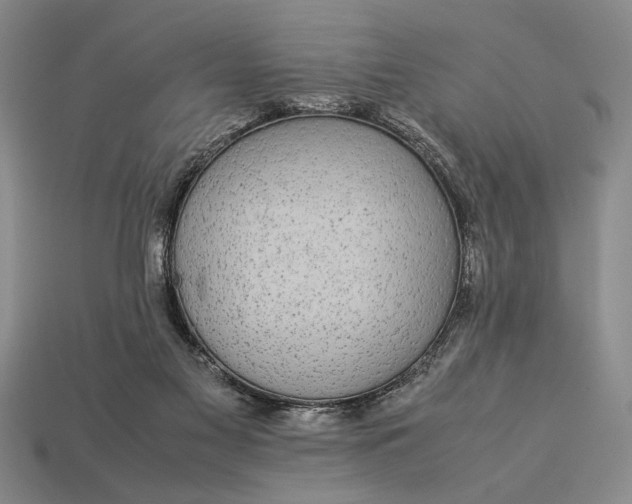 X0000113260117200909241530