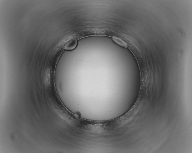 X0000113260120200909241530