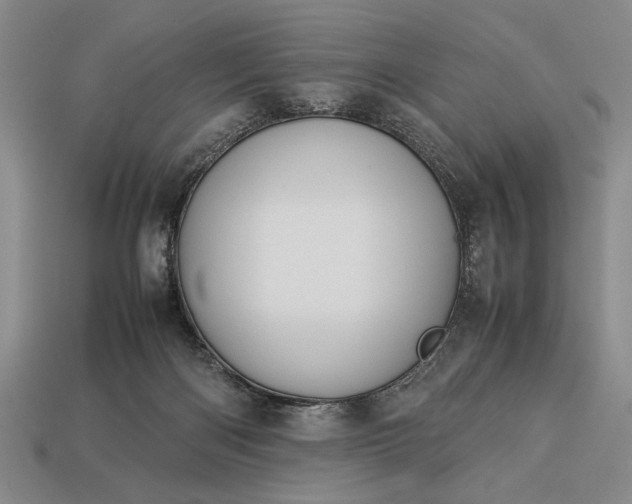 X0000113260122200909241530