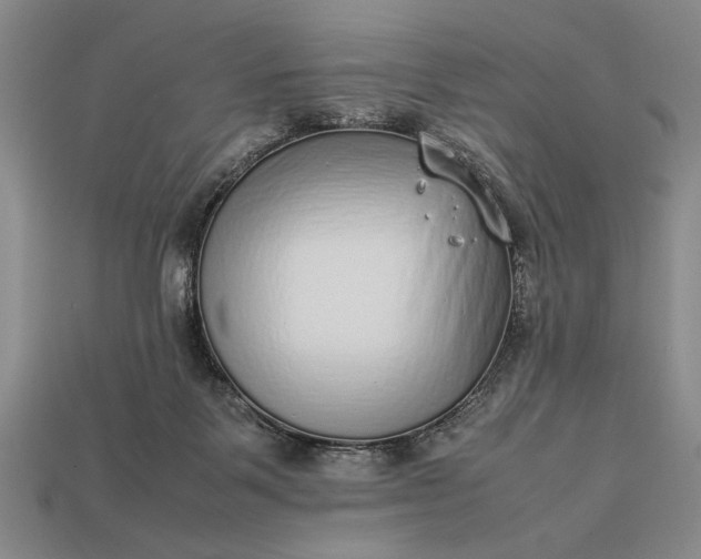 X0000113260123200909241530