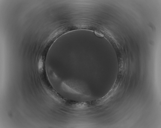 X0000113260124200909241530