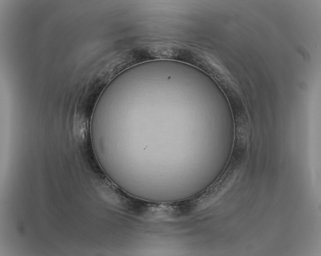 X0000113260125200909241530