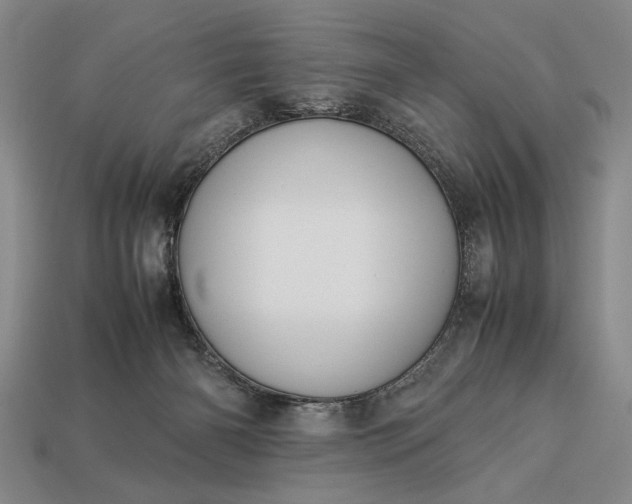 X0000113260126200909241530